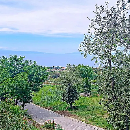 In With Wifi Apartment