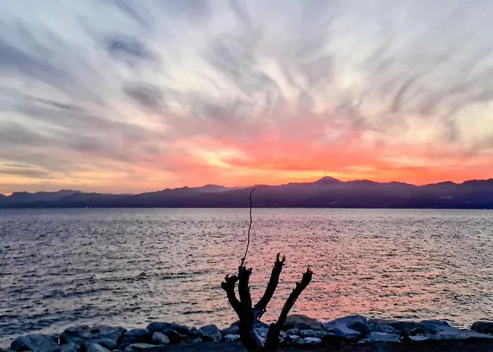 In With Wifi شقة *